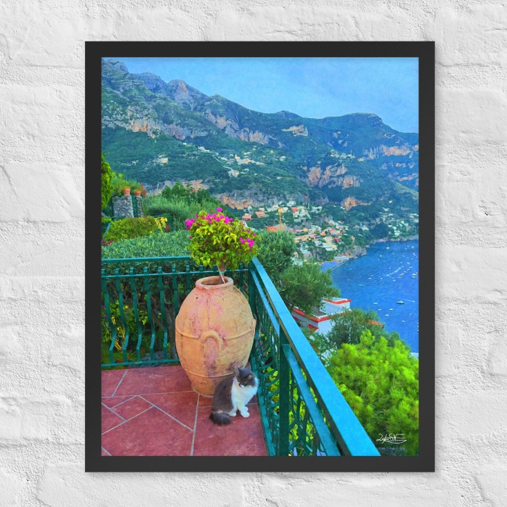 Cat in Positano Italy