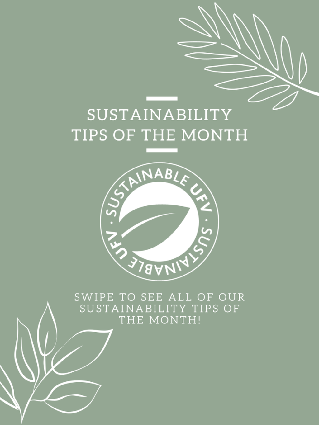 Sustainability Tip of the Month