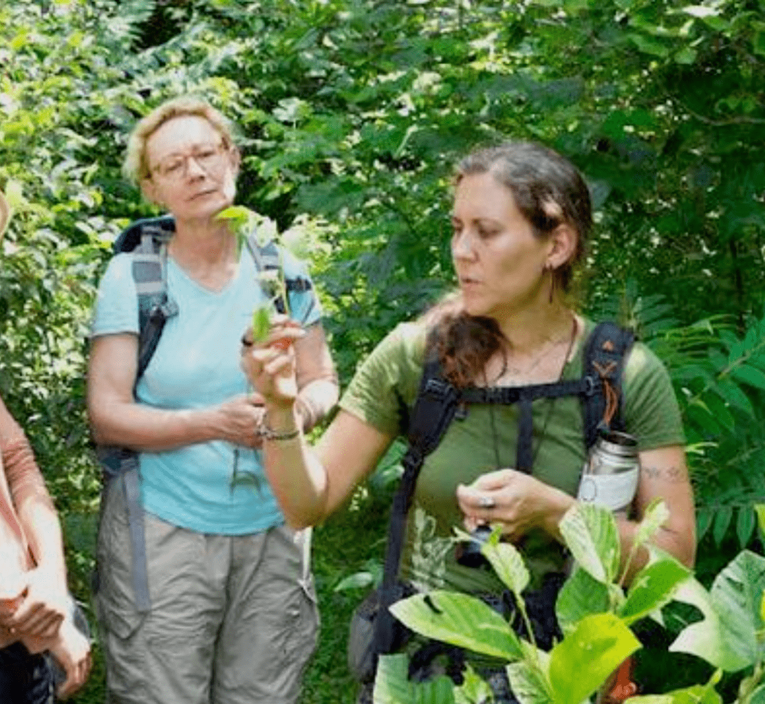botanical property surveys