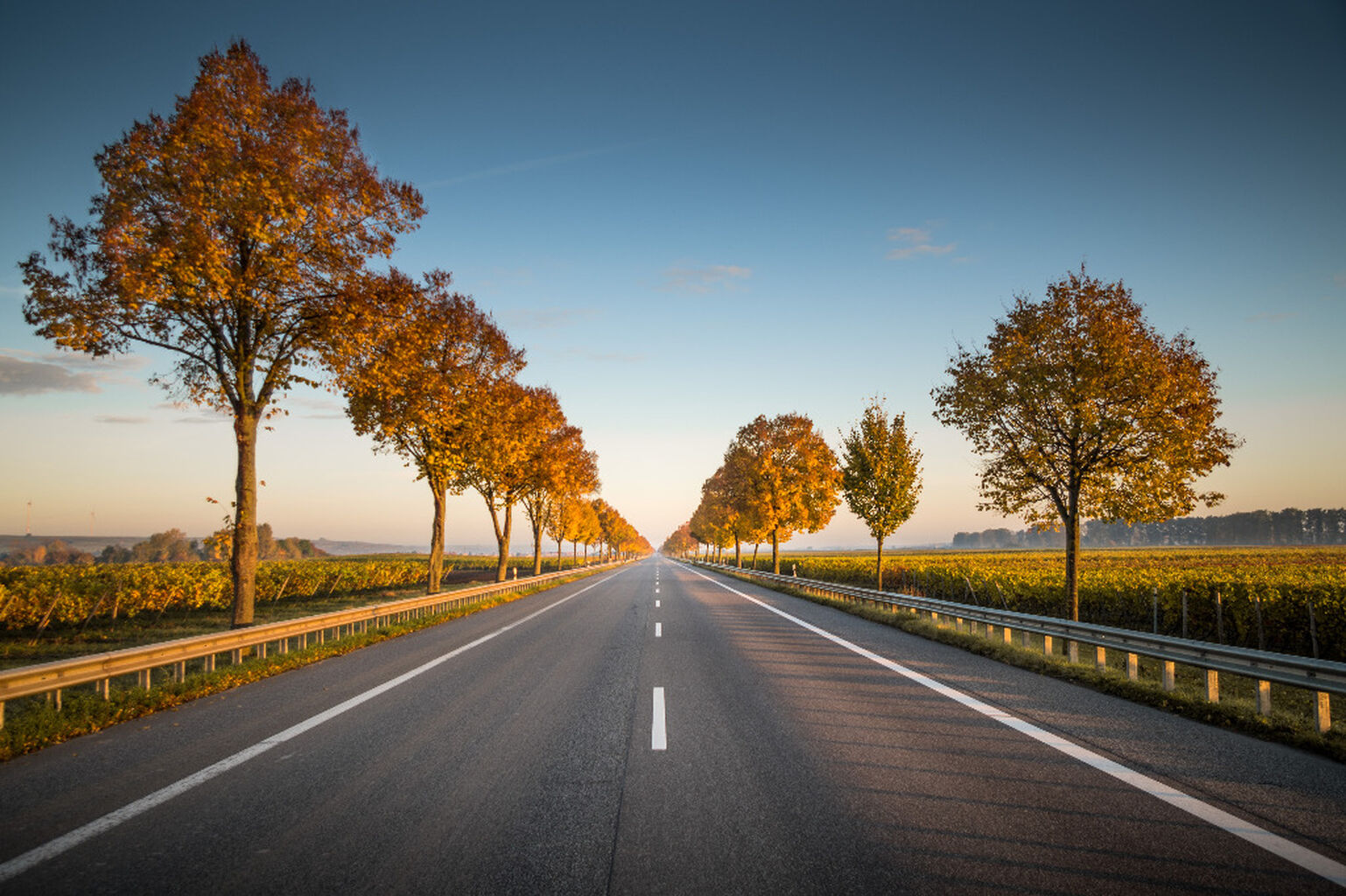 Job: Driver to Head of Office / Administrative Clerk