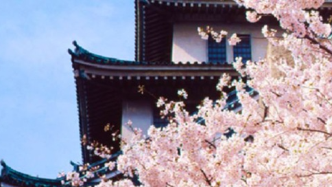 Three Part Thought Series on the Japanese Ryokan Sector 