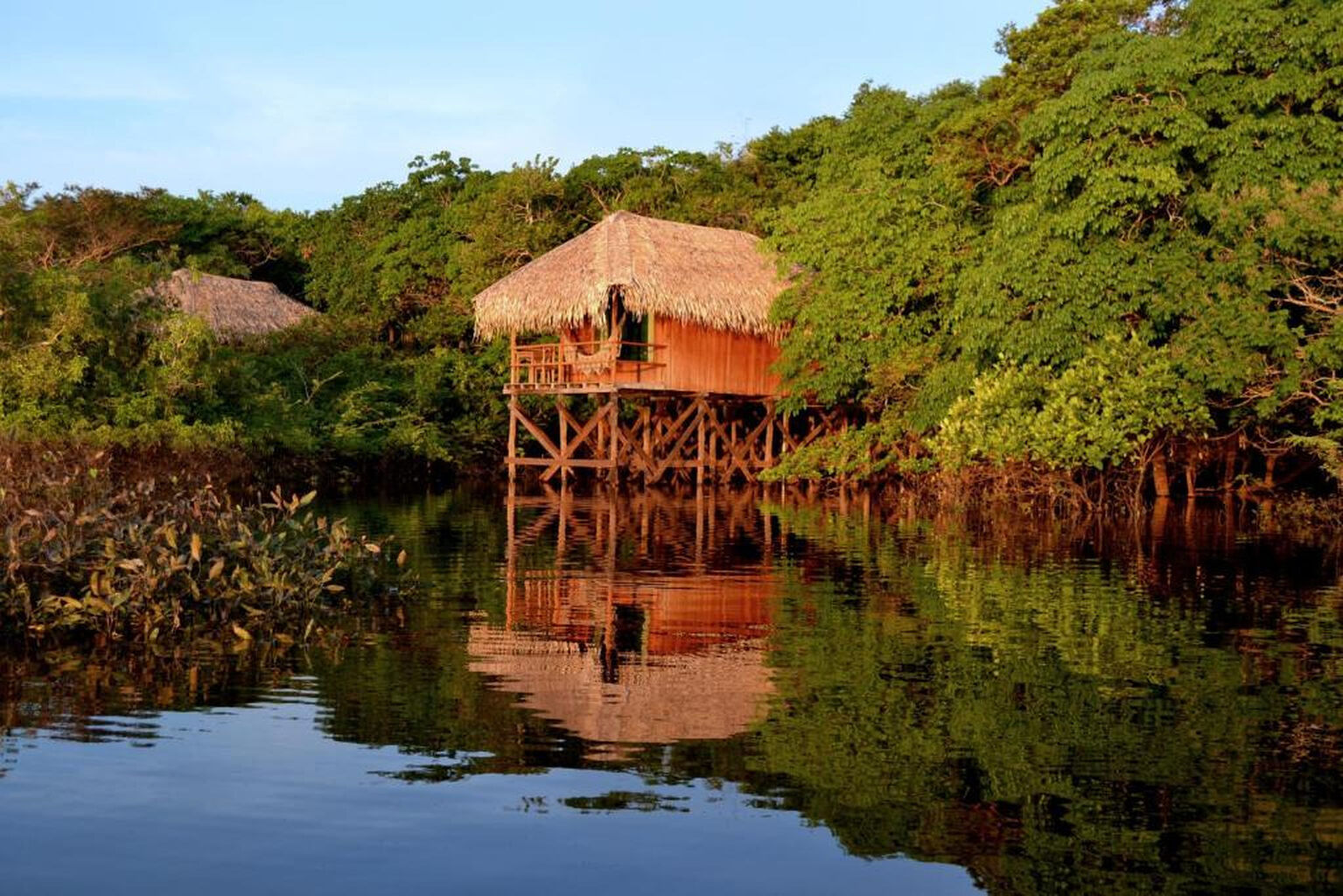 Dica 363 - Juma Lodge (AM)