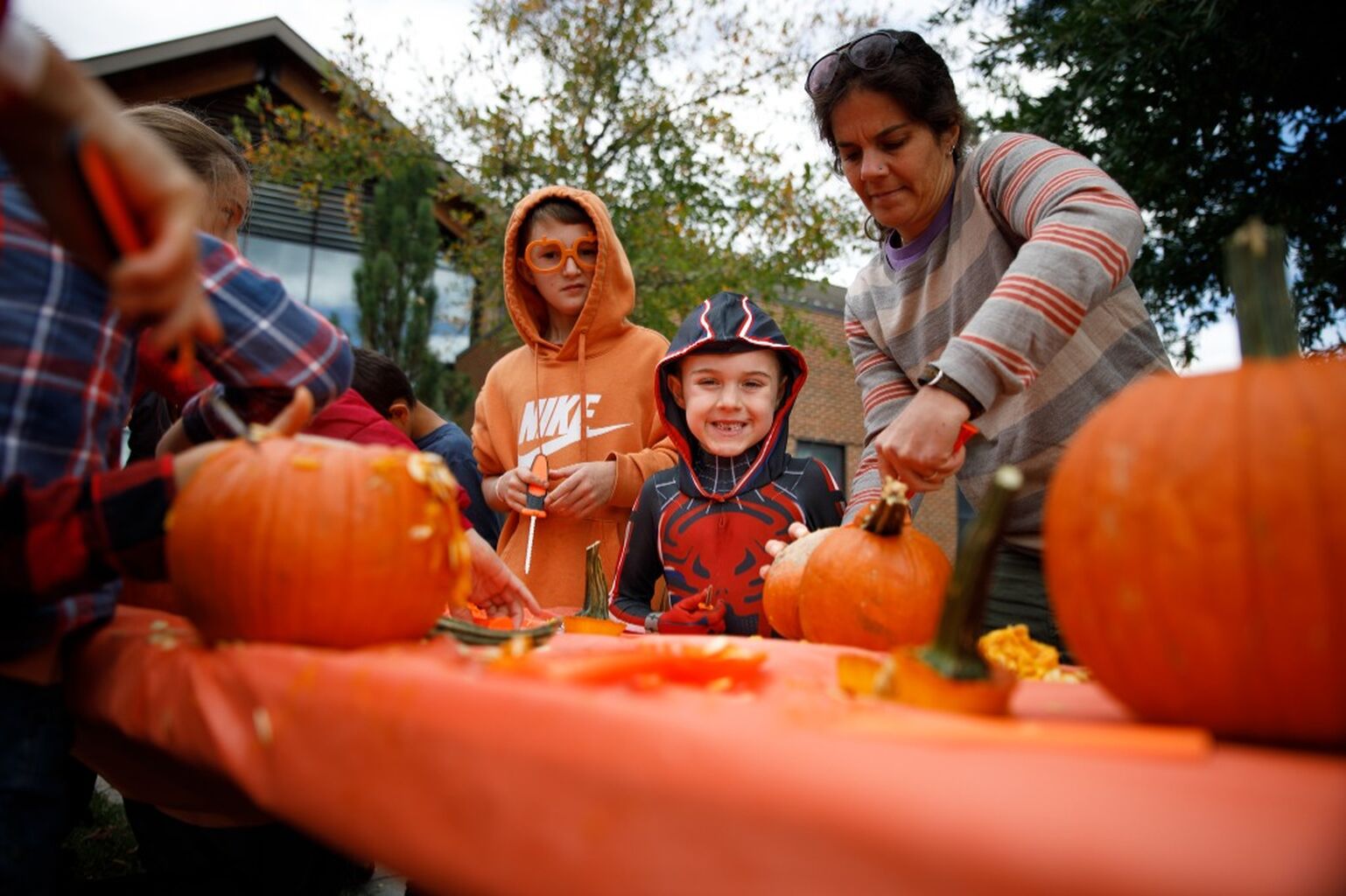 Belvoir Fall Fest