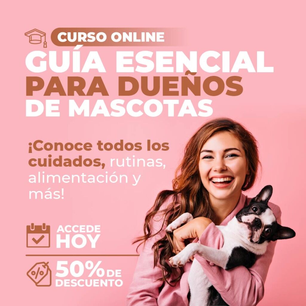 Informaci&oacute;n curso entrenamiento mascotas 