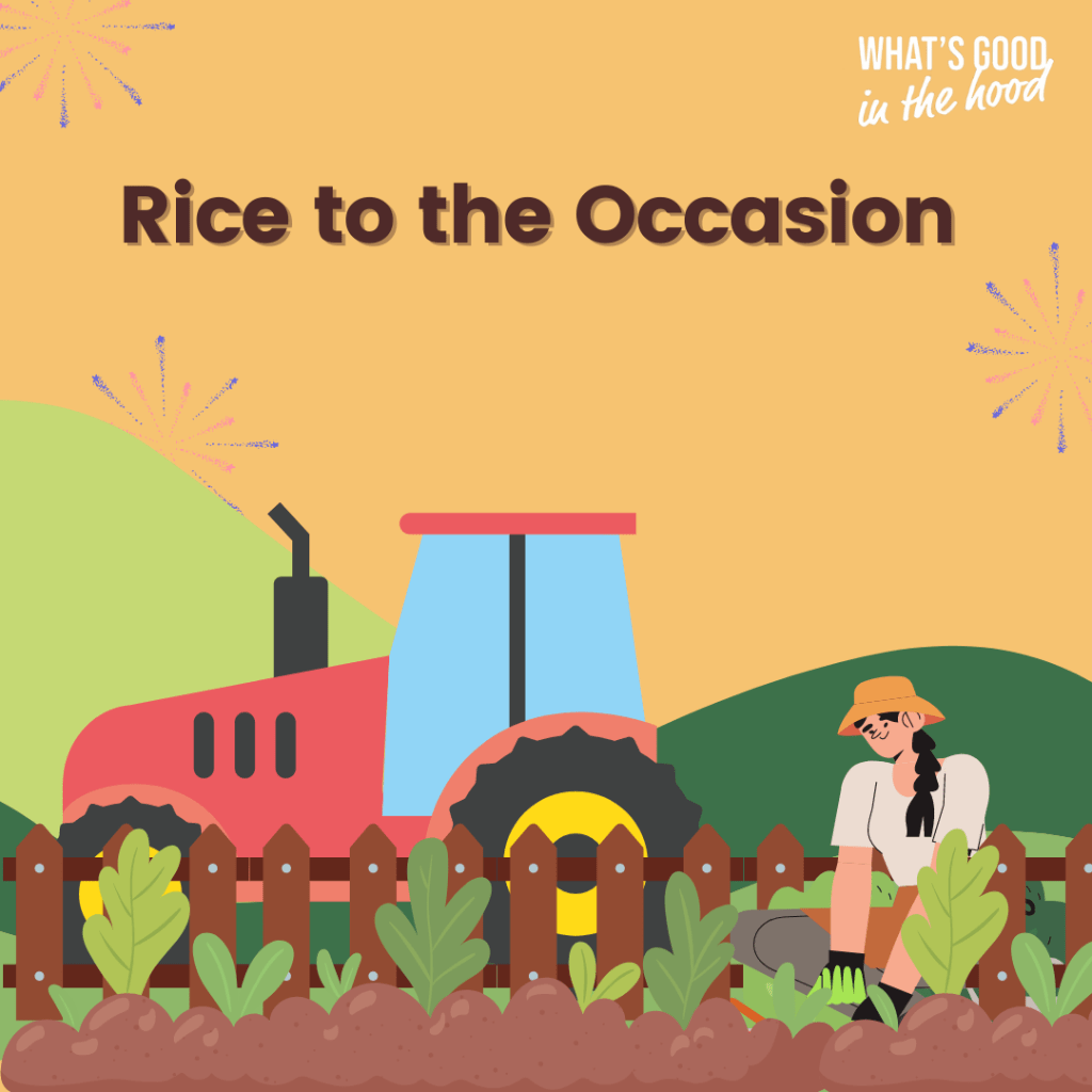 Rice to the Occasion