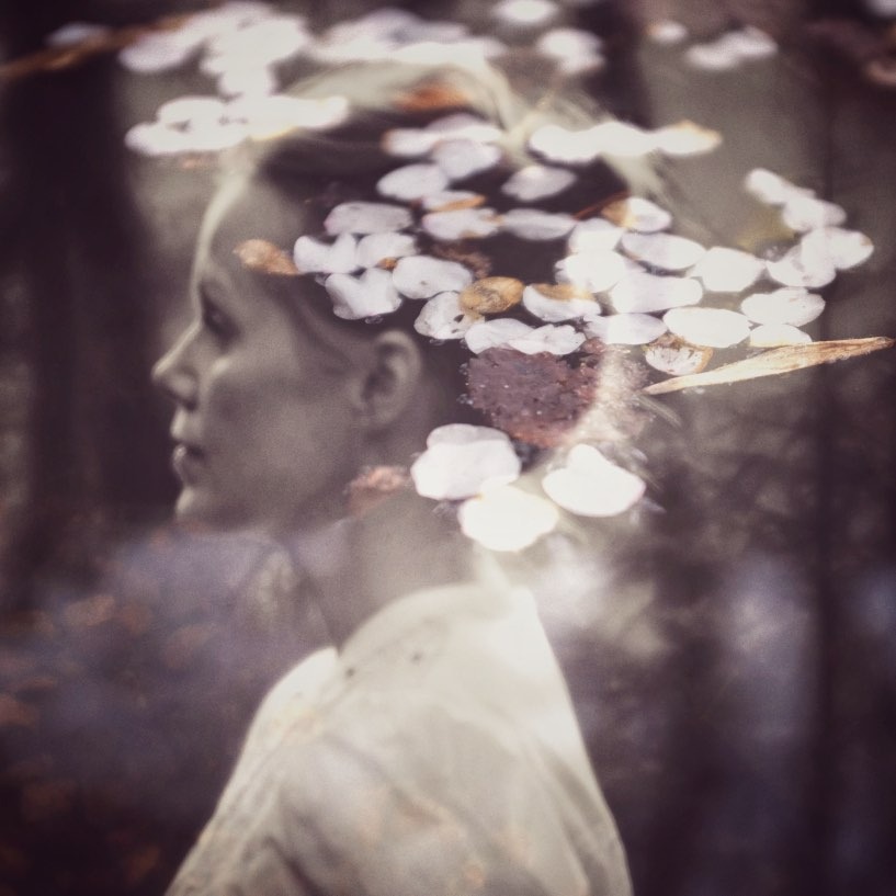 Fragments of Light