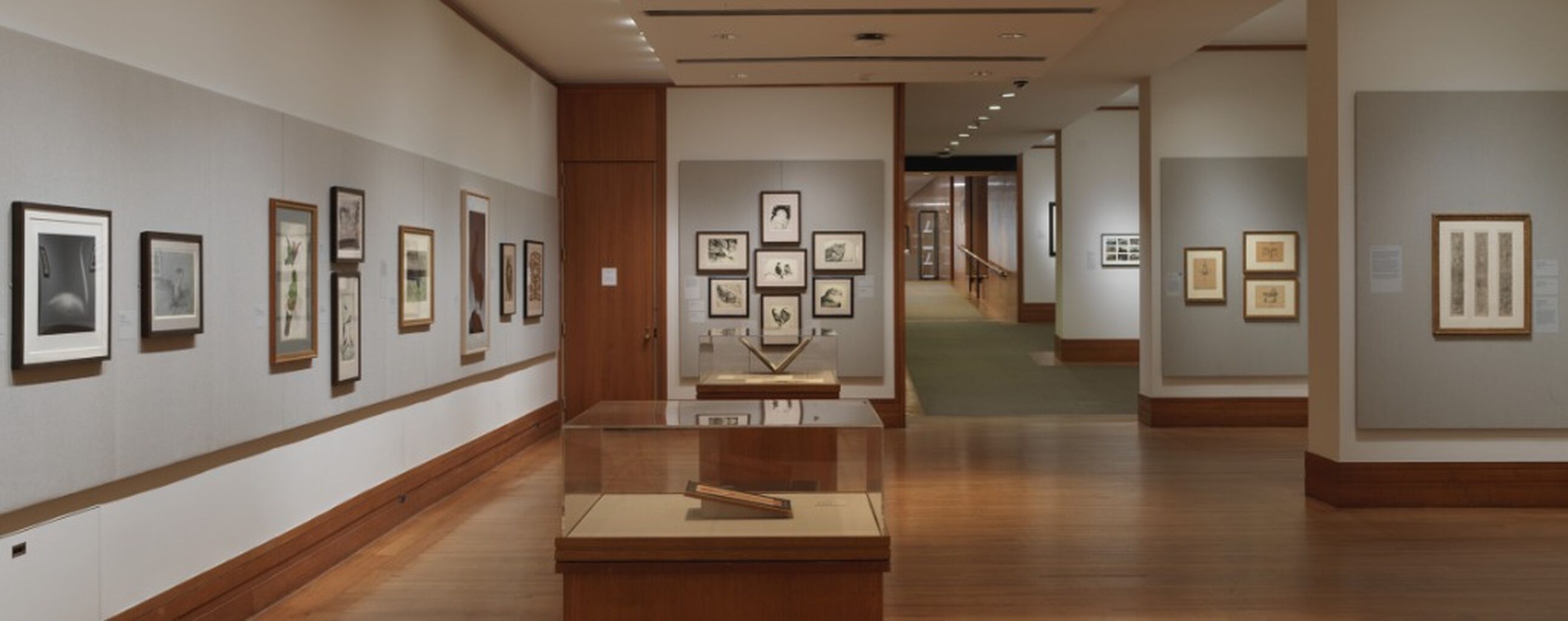 Drawings and Prints Department Page